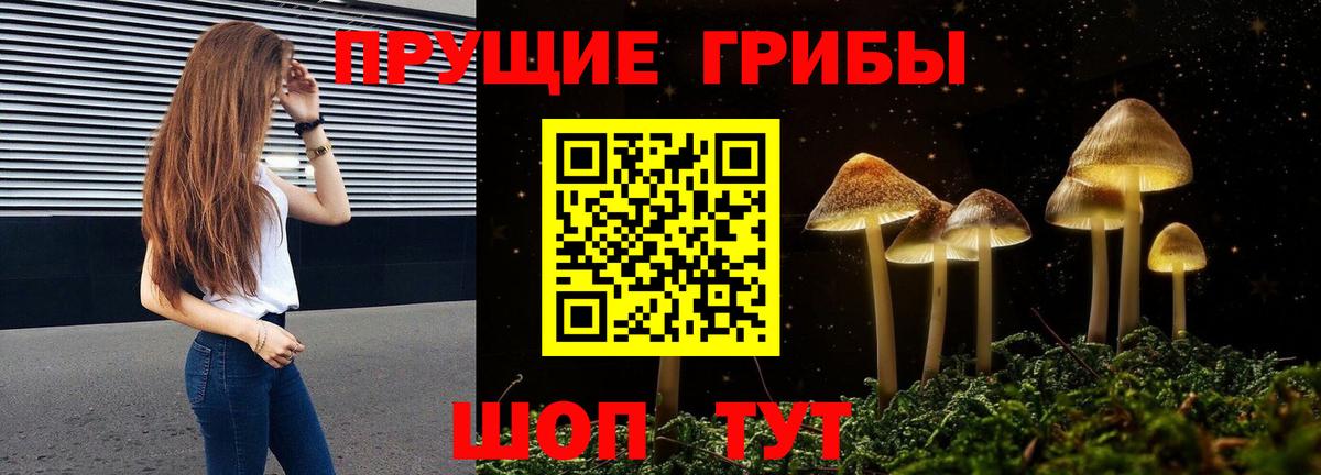 Бугуруслан  Псилоцибиновые грибы мухоморы  Вход с VPN 